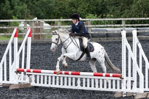 Class 2 -  Fences not above 2'